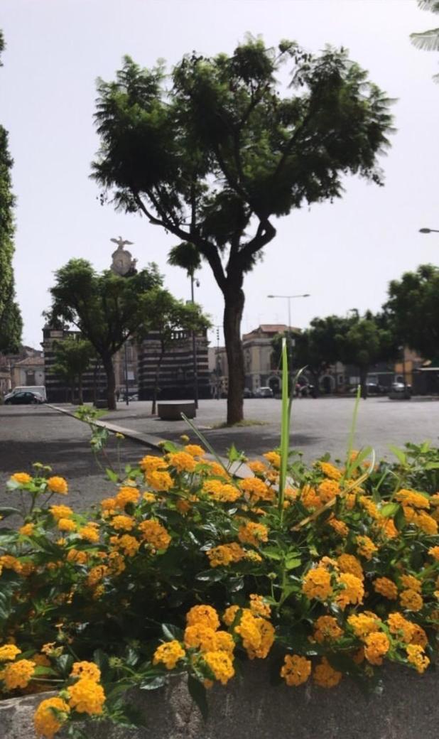 Il Fortino Apartment Catania-Fontanarossai nemzetközi repülőtér Kültér fotó